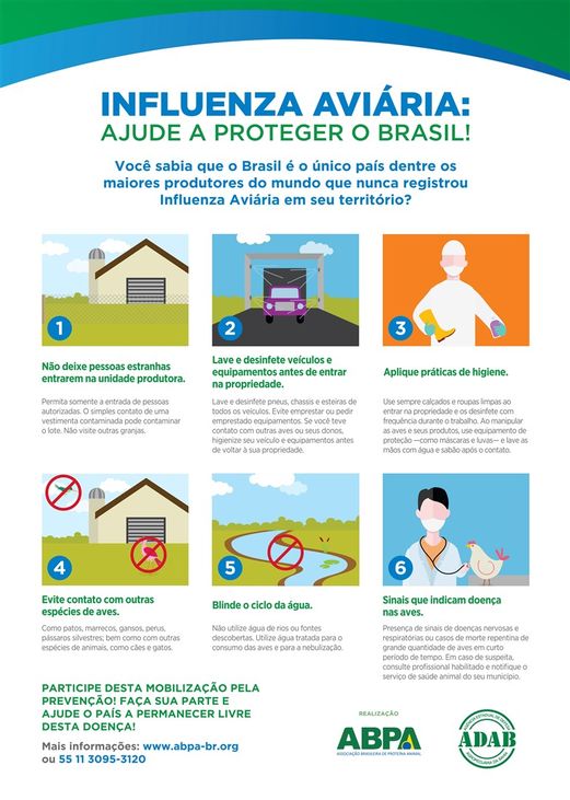 ABPA intensifica divulgação e cuidados referentes aos registros de Influenza Aviária em outros países