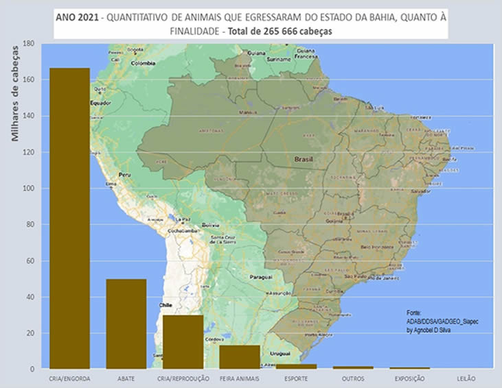 Egresso por finalidade